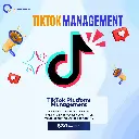 ⁠TikTok Platform Management $30/month