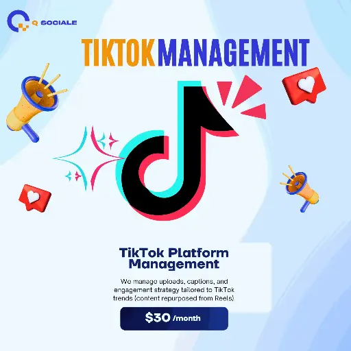 ⁠TikTok Platform Management $30/month